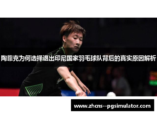 陶菲克为何选择退出印尼国家羽毛球队背后的真实原因解析