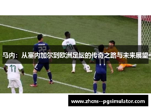 马内：从塞内加尔到欧洲足坛的传奇之路与未来展望
