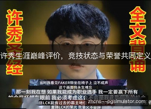 许秀生涯巅峰评价，竞技状态与荣誉共同定义